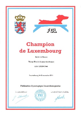du serment des brumes - Django  est Champion du Luxembourg