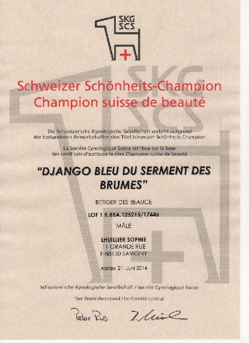 du serment des brumes - Django champion de beauté Suisse !